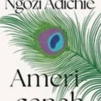 Americanah (Chimamanda Ngozi Adichie)  - 9780007356348