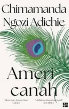 Americanah (Chimamanda Ngozi Adichie) - 9780007356348