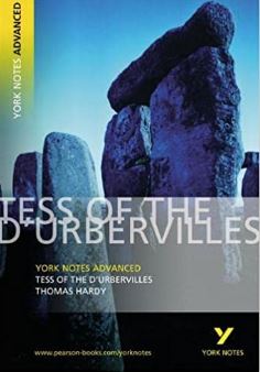 LIKE NEW - Tess of the D'Urbervilles: York Notes Advanced 9781405807074