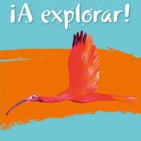Lower Secondary Spanish for the Caribbean – A Explorar: Workbook Level 1