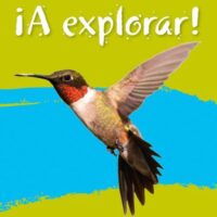 Lower Secondary Spanish for the Caribbean – A Explorar: Student's Book Level 3