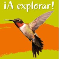 Lower Secondary Spanish for the Caribbean – A Explorar: Workbook Level 3