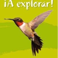 Lower Secondary Spanish for the Caribbean – A Explorar: Teacher's Guide Level 3