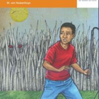 Via Afrika Afrikaans Eerste Addisionele Taal Graad 8 Novelle: Sweepsoldaat van Sondelani 9781415441459