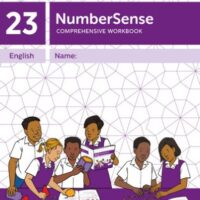 NumberSense Comprehensive Workbook 23
