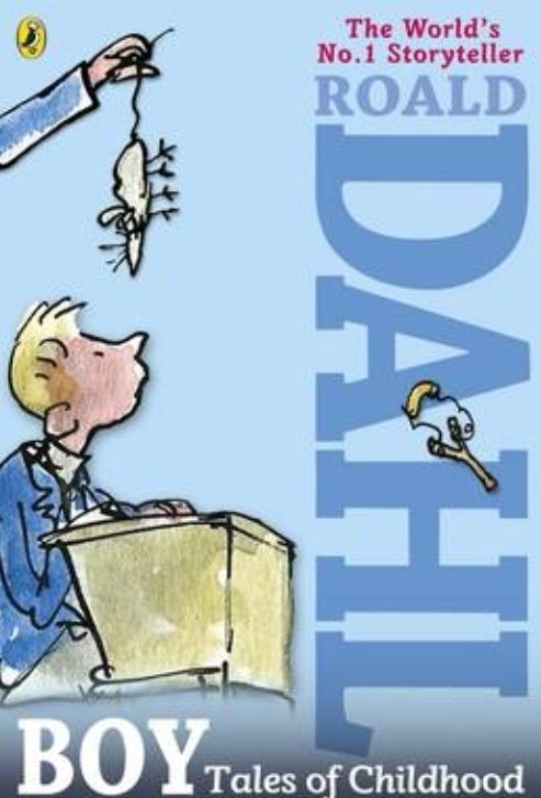 USED - Boy: Tales of Childhood (Roald Dahl) 9780141346700