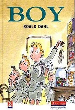 USED - Boy - Tales of Childhood 9780435123000