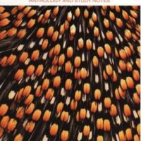 Learning to Fly and other stories: Short Stories for Grade 12: Anthology and study notes 9780636082816