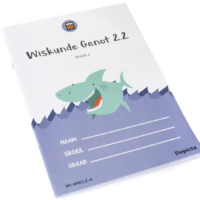 Depicta met Wiskunde 2