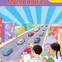 Shuters Premier Mathematics Grade 6 Teacher's Guide 9780796058959