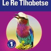 Platinum le re tlhabetse: Gr 1: Learner's book - Home language Setswana