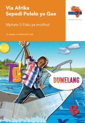 Via Afrika Sepedi Home Language Grade 5 Learner’s Book - 9781415424339